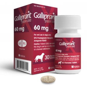 galliprant neurological side effects